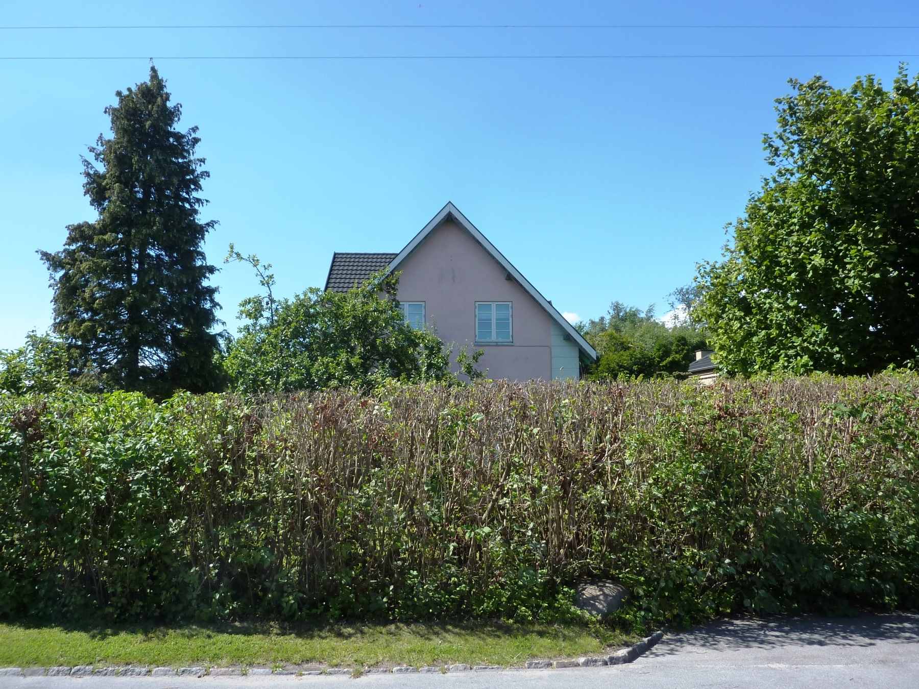 Axel-Hus